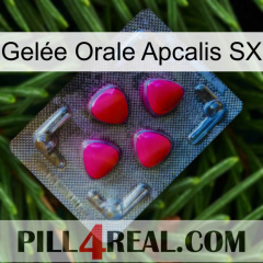 Gelée Orale Apcalis SX 13